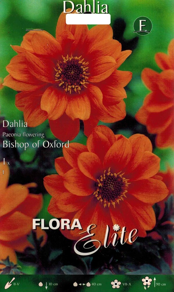 Dahlie Bishop of Oxford