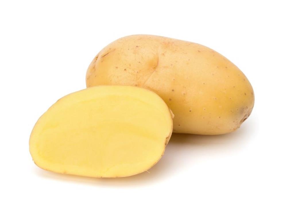 Finka - frische deutsche Ernte