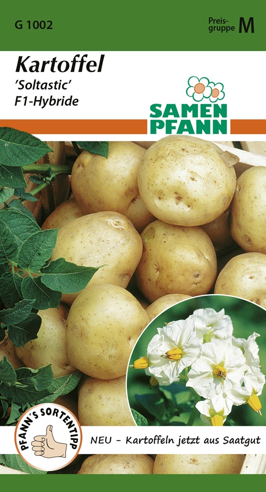 Kartoffel Soltastic Samen