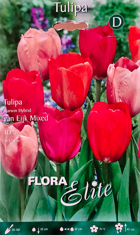 Tulpenzwiebeln van Eijk Mischung