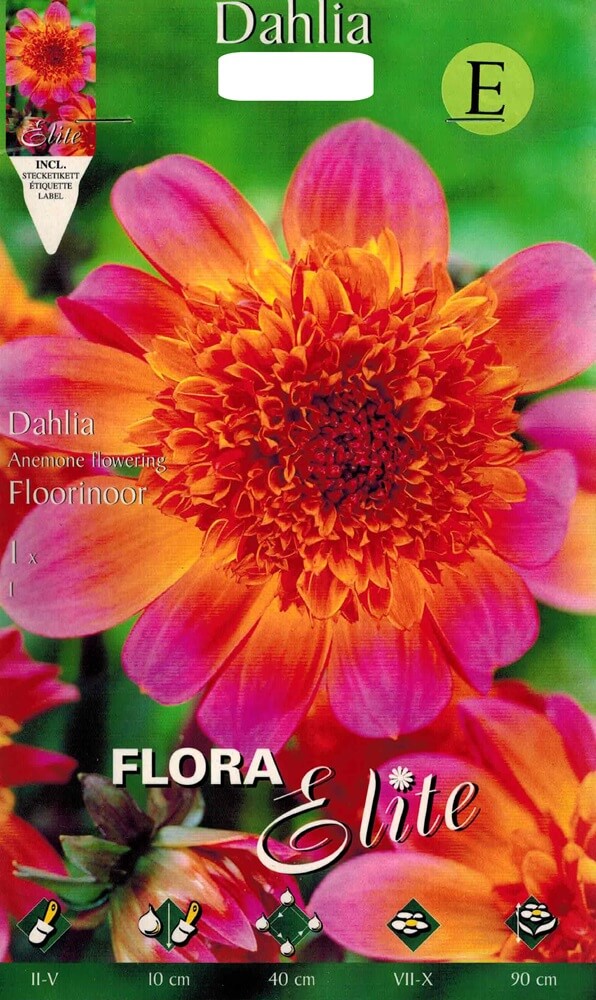 Dahlie Floorinoor