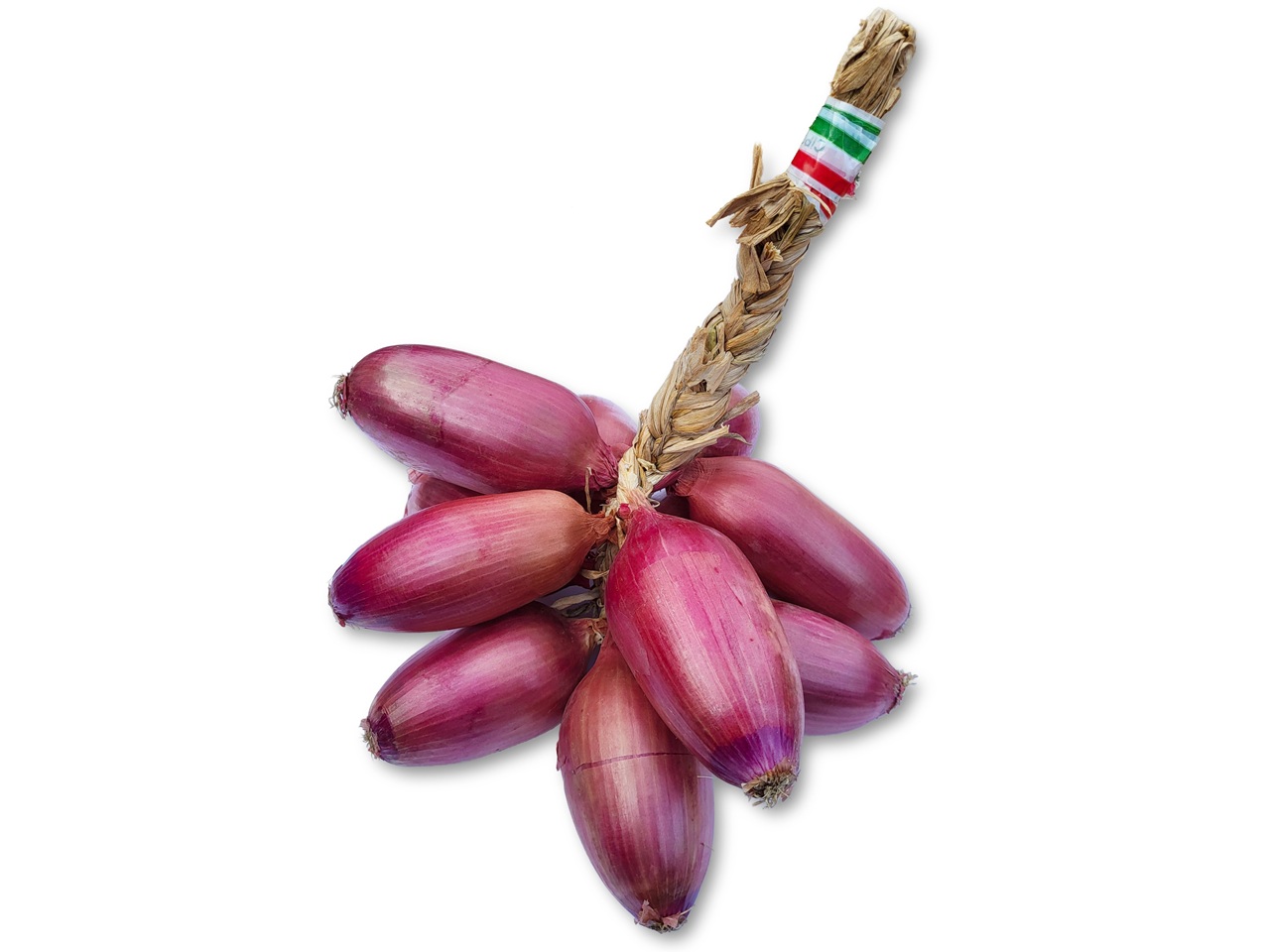 Tropea Zwiebeln "Cipolla da Serbo"